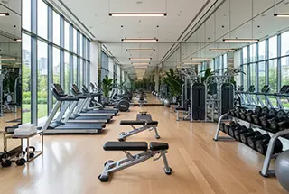 Gymnasium